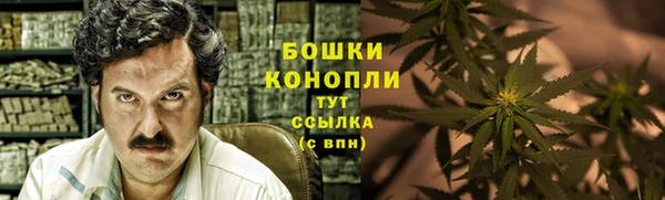 амф Осинники