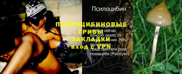 амф Остров