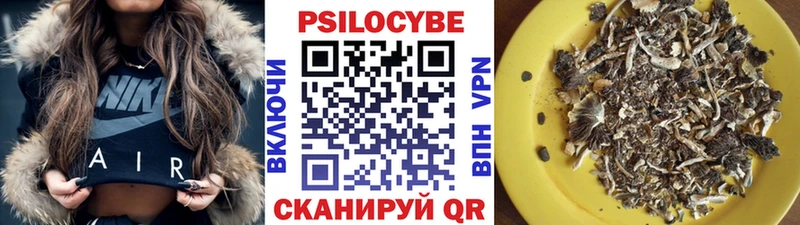 Галлюциногенные грибы Psilocybine cubensis где можно купить omg Староминская